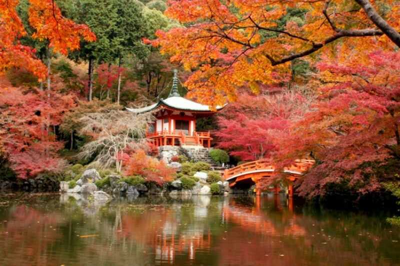 Nhật Bản vào thu với sắc cam thơ mộng