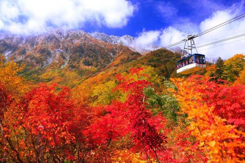 Hokkaido là điểm đến lý tưởng để ngắm lá phong