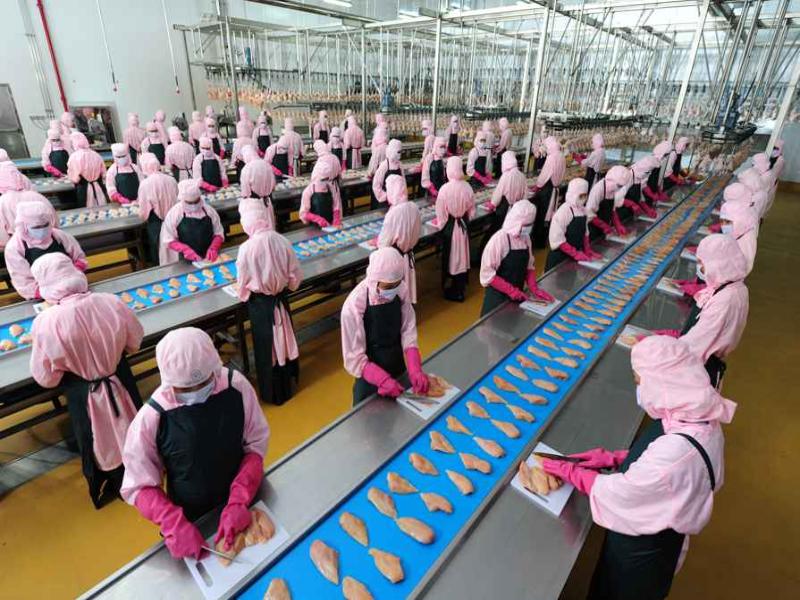 Lao động nữ làm việc tại các nhà máy chế biến thực phẩm tại Nhật