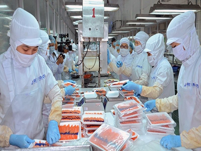 Xuất khẩu lao động Nhật Bản cho nữ ngành đóng gói thực phẩm