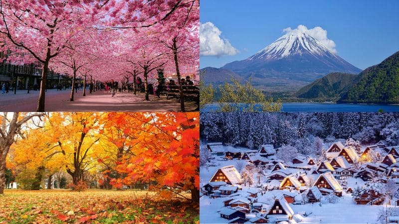 Khí hậu Nhật Bản với 4 mùa đặc trưng 