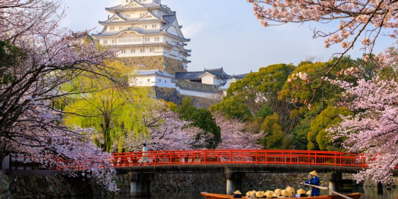 Lâu đài hạc trắng Himeji ở Nhật Bản mùa hoa anh đào