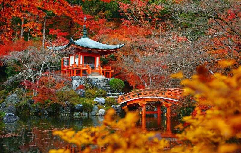 Mùa lá đỏ Nhật Bản tuyệt đẹp vào mùa thu