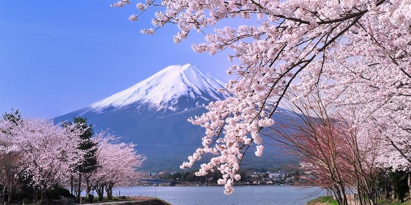 Đặt tour du lịch tại Nhật Bản tại địa chỉ đáng tin cậy