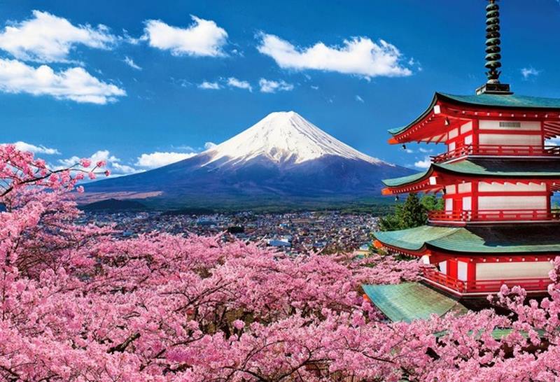 Lịch trình tour du lịch Nhật Bản cho du khác