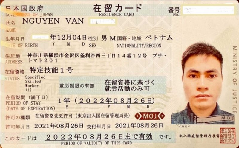 Visa thực tập sinh và visa du học có thể xin visa kỹ sư